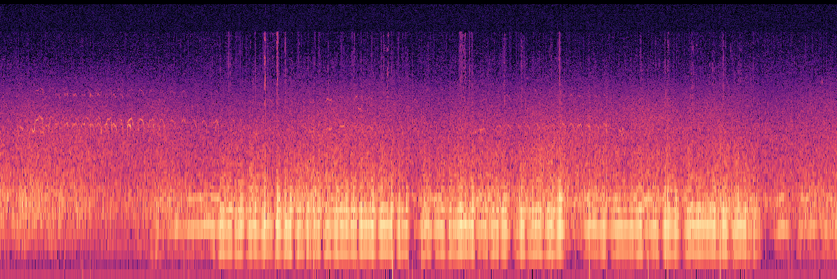 Spectrogram: Large Insect on Windscreen With Gulls and Surf